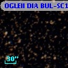 OGLEII DIA BUL-SC19   2800