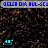 OGLEII DIA BUL-SC19   3162