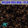 OGLEII DIA BUL-SC19   3631