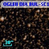 OGLEII DIA BUL-SC19   4389