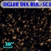 OGLEII DIA BUL-SC19   4604