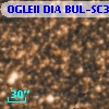 OGLEII DIA BUL-SC35   1704