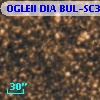 OGLEII DIA BUL-SC35   3520