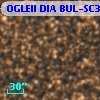 OGLEII DIA BUL-SC35   3811