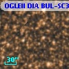 OGLEII DIA BUL-SC35   4225