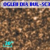 OGLEII DIA BUL-SC36   2831