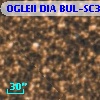 OGLEII DIA BUL-SC36   3196