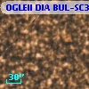OGLEII DIA BUL-SC36   3705