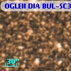 OGLEII DIA BUL-SC36   5719
