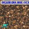 OGLEII DIA BUL-SC36   6081