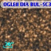 OGLEII DIA BUL-SC36   6513