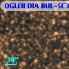 OGLEII DIA BUL-SC36   7263