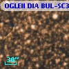 OGLEII DIA BUL-SC36   7802