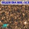 OGLEII DIA BUL-SC36   8377