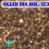 OGLEII DIA BUL-SC36   8406