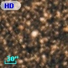 HD 166830