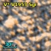 V* V1953 Sgr