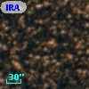 IRAS 18091-2603