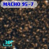 MACHO 95-7