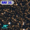 RRF   31