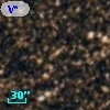 V* V509 Sgr