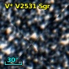 V* V2531 Sgr