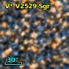 V* V2529 Sgr