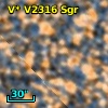 V* V2316 Sgr