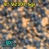 V* V2307 Sgr