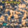 V* V1955 Sgr