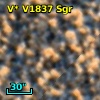V* V1837 Sgr