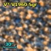 V* V1960 Sgr