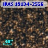 IRAS 18134-2556