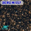 [SC95] M 557