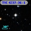 TYC 4237-36-1