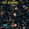 HD 315604