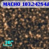 MACHO 103.24284.695