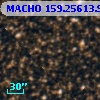 MACHO 159.25613.963