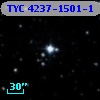 TYC 4237-1501-1