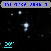 TYC 4237-2036-1