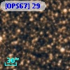 [OPS67] 29