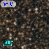 V* V5521 Sgr