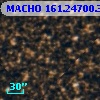 MACHO 161.24700.3300