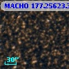MACHO 177.25623.3642