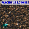 MACHO 178.24048.3166