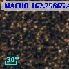 MACHO 162.25865.442