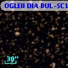 OGLEII DIA BUL-SC17    308