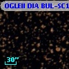 OGLEII DIA BUL-SC17    496