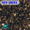 NSV 10591