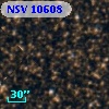 NSV 10608